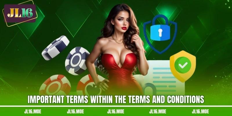 Important terms within the Terms and Conditions Important terms within the Terms and Conditions